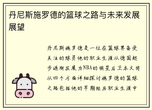 丹尼斯施罗德的篮球之路与未来发展展望