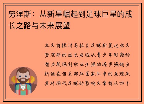 努涅斯：从新星崛起到足球巨星的成长之路与未来展望