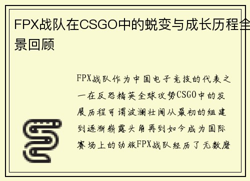 FPX战队在CSGO中的蜕变与成长历程全景回顾
